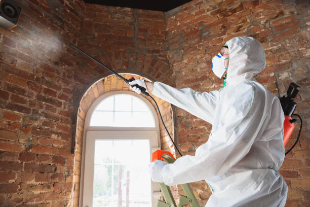 Best Mold Removal for HVAC Installations  in Rahway, NJ