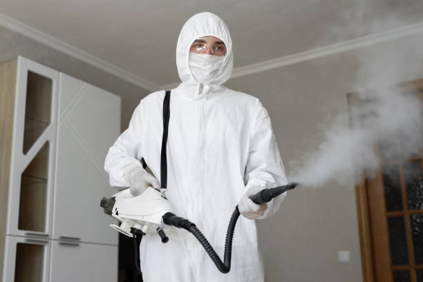 Best Mold Remediation for Healthcare Facilities  in Rahway, NJ